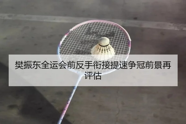樊振东全运会前反手衔接提速争冠前景再评估